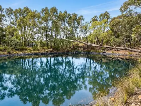 venta campo 117 Ha en Los Chacayes con Infraestructura y Agua Propia  Valle de Uco