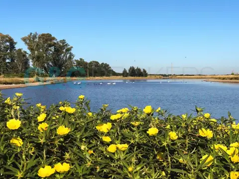 Terreno en Venta de 4160,0 m2