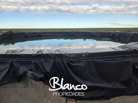 Terreno Campo  en Venta en La Reforma, Limay Mahuida, La Pampa