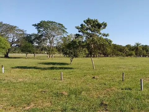 Terreno en Venta 24  mts Frente