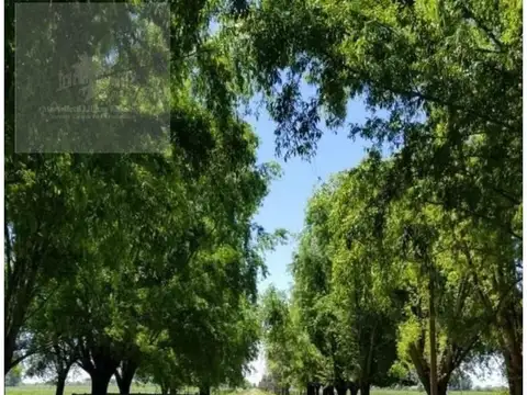Campo en Venta de 48  ha