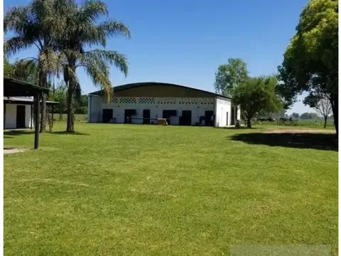Haras Siglo Xxi 100