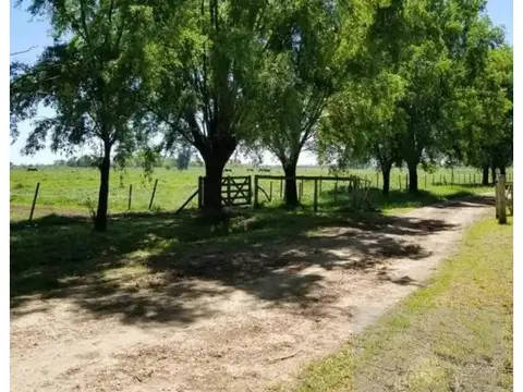 Campo en Venta de 48  ha