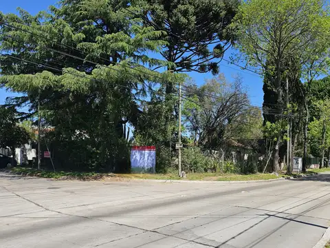 Intendente Tomkinson 800