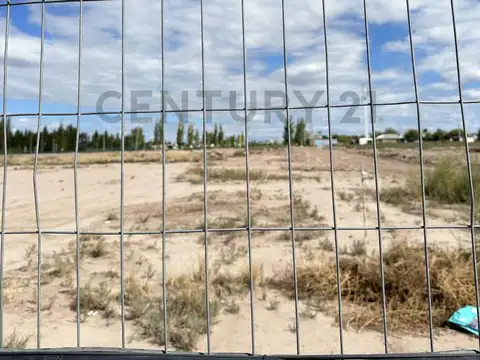 Venta de Lote en Lomas del Torreon, Maipú. Mendoza.