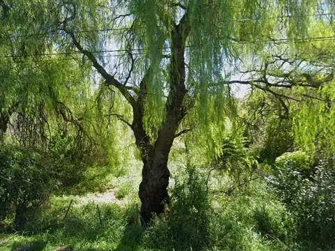 Terreno en Venta de 7077,0 m2