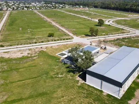 LOTE INTERNO SAINT THOMAS CHICO CANNING