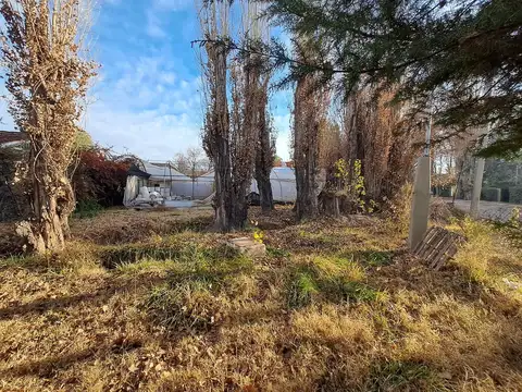 Terreno en Venta en Chacras de Coria, USD 42.000