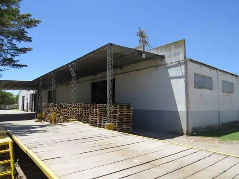 VENTA DE PLANTA ELABORADORA DE ALIMENTO BALANCEADO  CORDOBA GENERAL DEHEZA