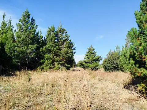 Terreno en Venta de 329,0 m2