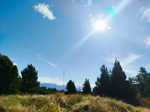 Bedini y Guido Spano