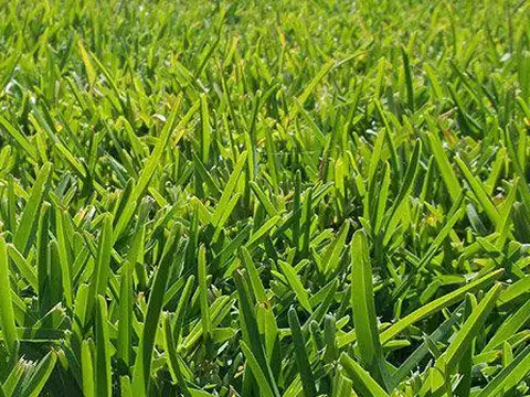 Terreno en Venta de 533,0 m2