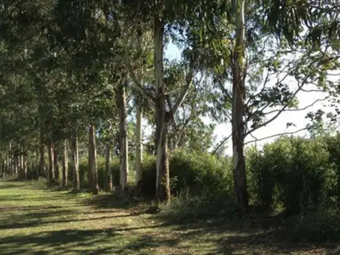 Terreno en Venta en Santo Tomas, USD 48.000
