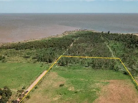 Campo en Venta Chacra