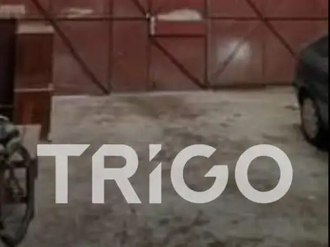 Galpon en Alquiler A Estrenar