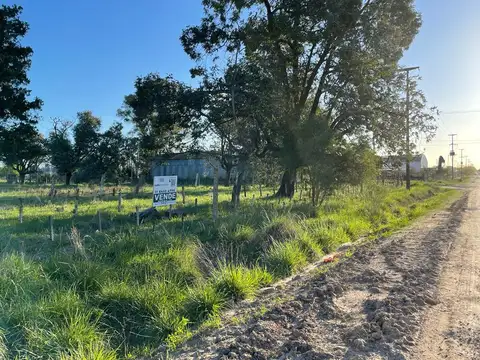 Calle 232 100