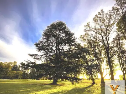 Terreno en Venta de 2650,0 m2
