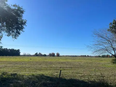 Terreno en Venta 12  mts Frente