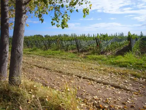 El Moro 4000