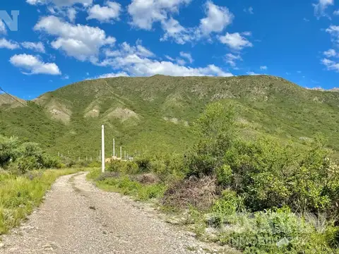 Los Pinos (Villa Elena)