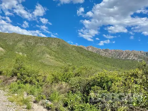 Terreno en Venta de 2500,0 m2