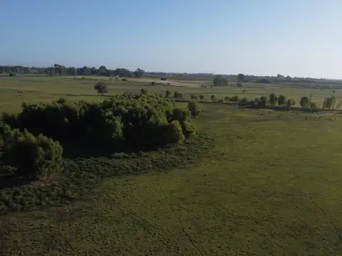 Terreno en venta  Ayres de Cardales con vista al verde