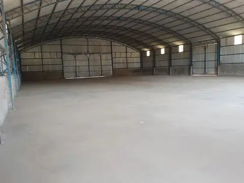Galli Mainini 100