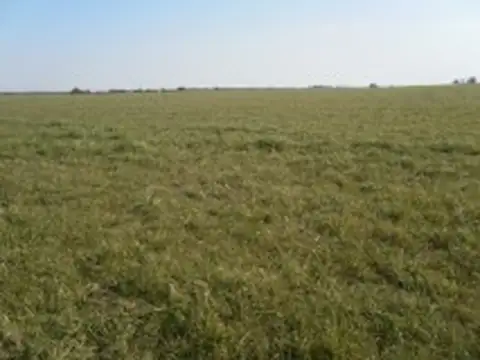 Gualeguaychú chacra sobre ruta