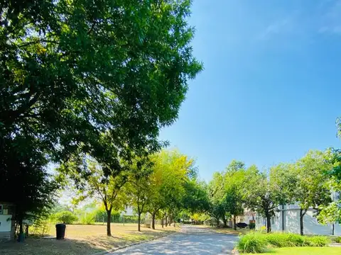 Boulevard de Todos los Santos, Puerta 3 5600