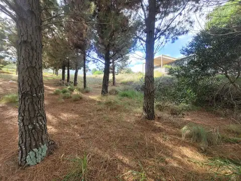 Terreno en Venta en Barrio Ecuestre, USD 38.000