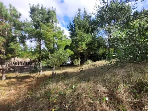Terreno en Venta de 1200,0 m2