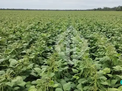 Campo en venta | 12000 has | Zona La Estrella | Salta