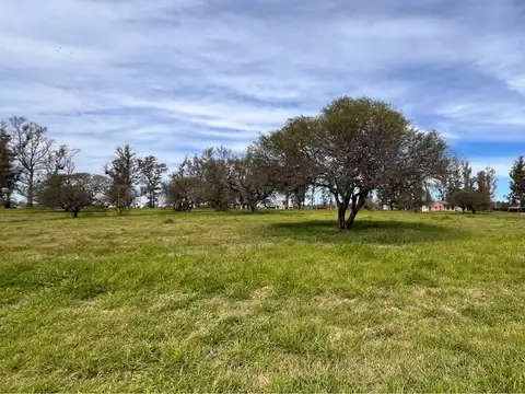 Terreno en Venta en Maciel, USD 55.000