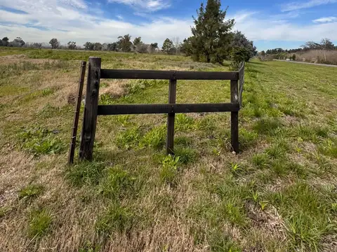 Campo en Venta Mixto