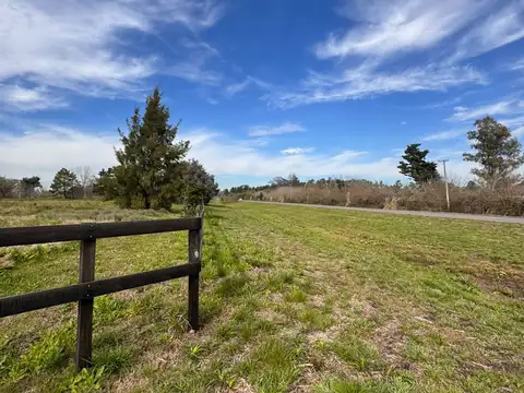 Campo en Venta de 9  ha