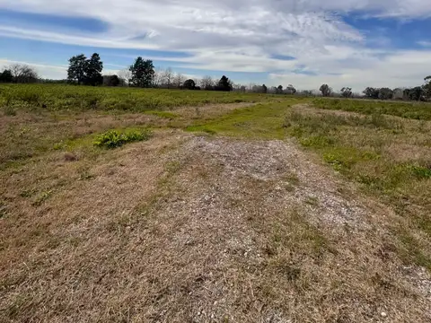 Campo en Venta con Alambrado