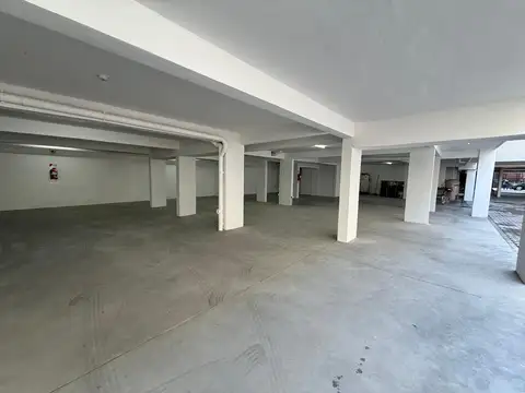 Curapaligüe 500