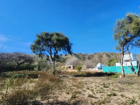 Cerro Blanco 100