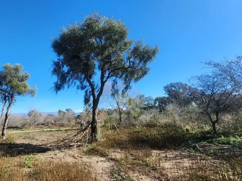 Terreno en Venta de 1110,0 m2