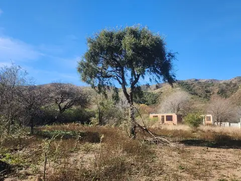 Cerro Blanco 100