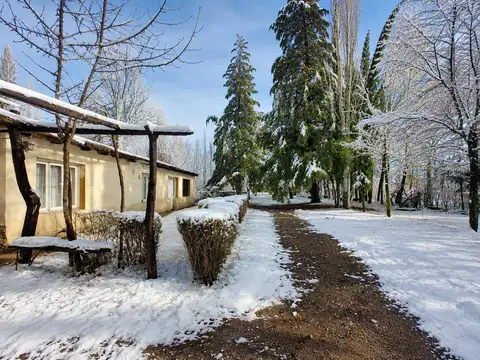 Venta Casa 5 Amb en Malargue Mendoza Camino al Dique