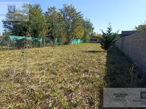 El Plumerillo 400