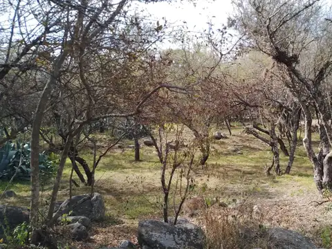 Terreno en Venta de 1200,0 m2