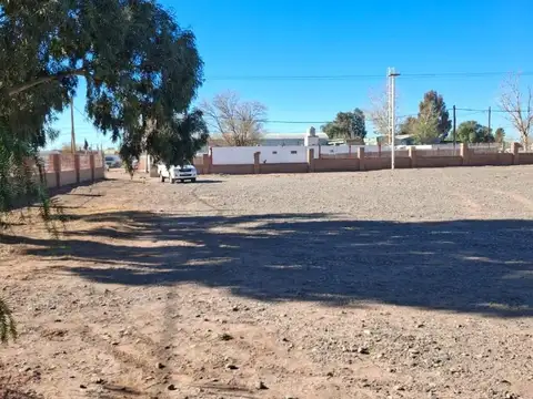 Galpon en Venta en Rincon de los Sauces, USD 470.000