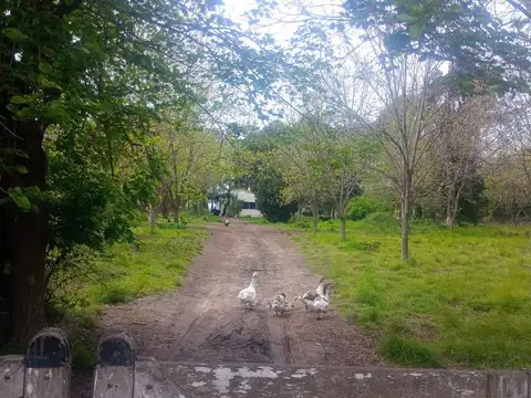 Avenida O'Farrell