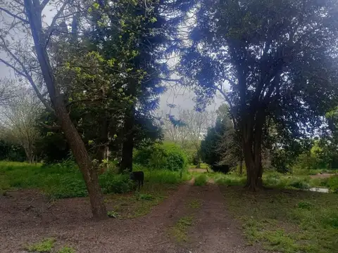 Quinta de 5 hectáreas con casa y mejoras productivas