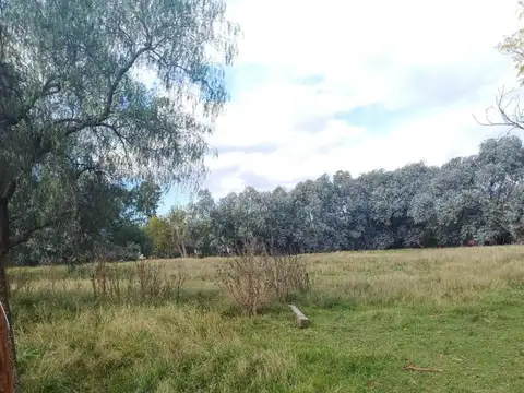 Terreno en Venta de 3081,0 m2
