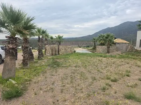 EXCLUSIVOS LOTES EN VENTA EN CACHEUTA