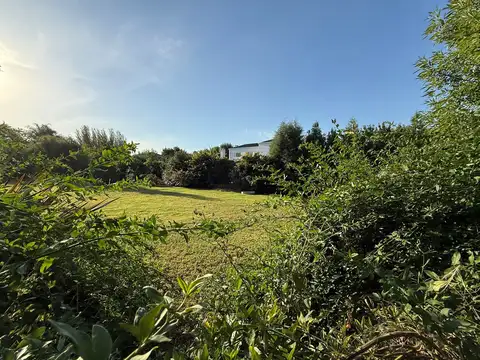 Barrio Los Jazmines - Pilar del Este 5500
