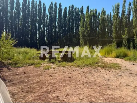 VENTA CHACRA 19 HECT FRENTE RUTA VILLA MANZANO